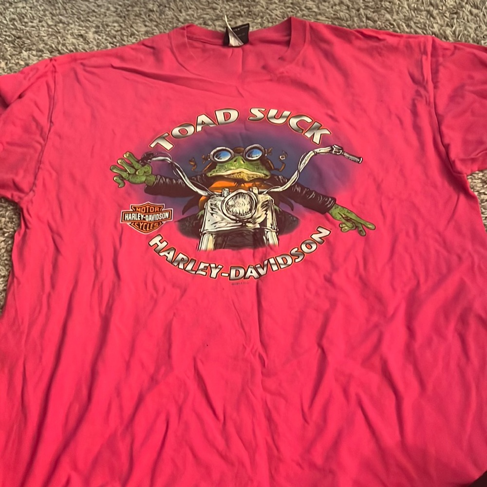 Harley Davidson Toad Suck
